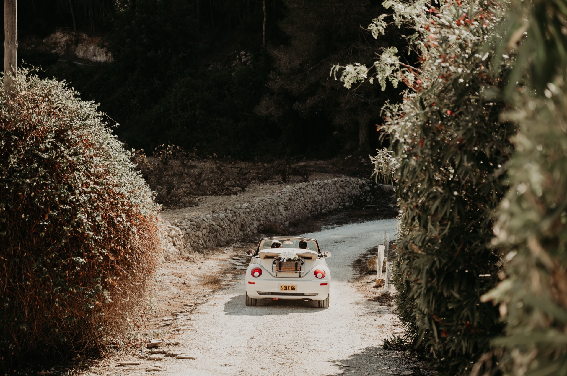 Tuin van Villa Veni Vidi Vici