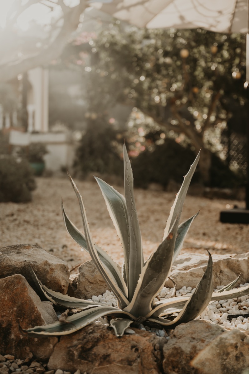 Villa Veni Vidi Vici sfeer 22