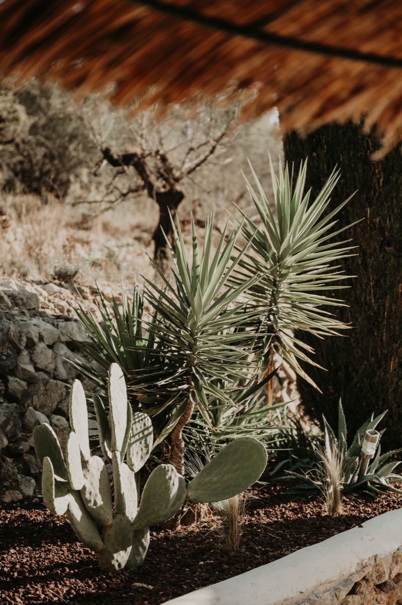 Villa Veni Vidi Vici sfeer 23